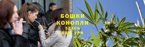 прущая мука Богородицк