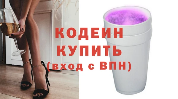 СК Бородино