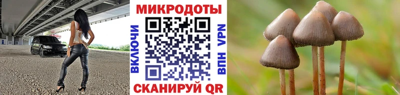 Псилоцибиновые грибы мицелий  наркотики  блэк спрут ссылки  Губкинский 